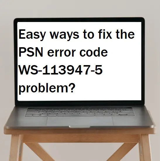 Easy ways to fix the PSN error code WS-113947-5 problem?
